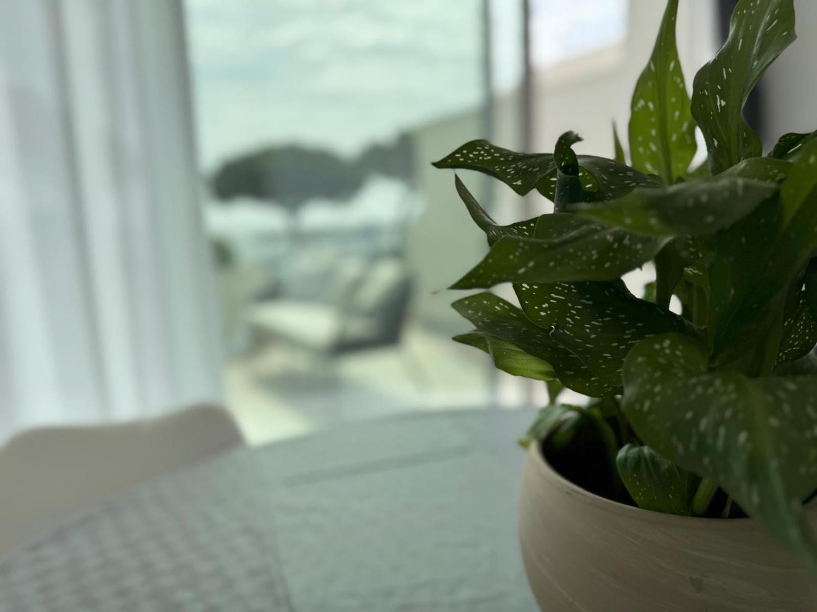 Iitana Luxury Apartment - Fronte Mare Con Vasca Idromassaggio CTA Exteriör bild